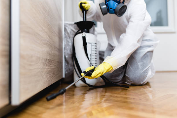 Best Commercial Pest Control Services  in Beecher, MI