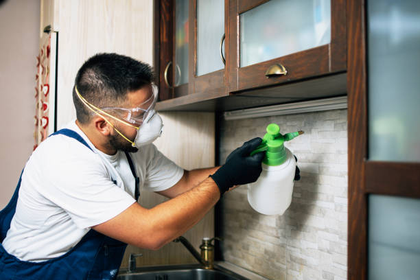 Best Mosquito Control Services  in Beecher, MI