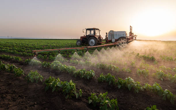 Reliable Beecher, MI Pest Control Solutions