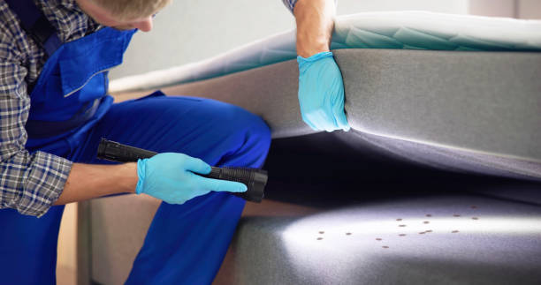 Best Pest Inspection Near Me  in Beecher, MI