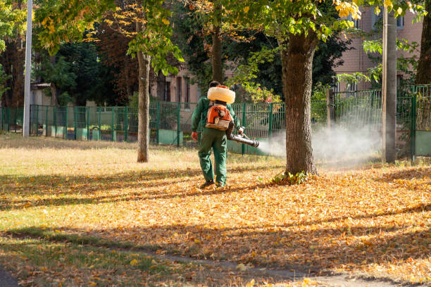Best Exterminator Services  in Beecher, MI