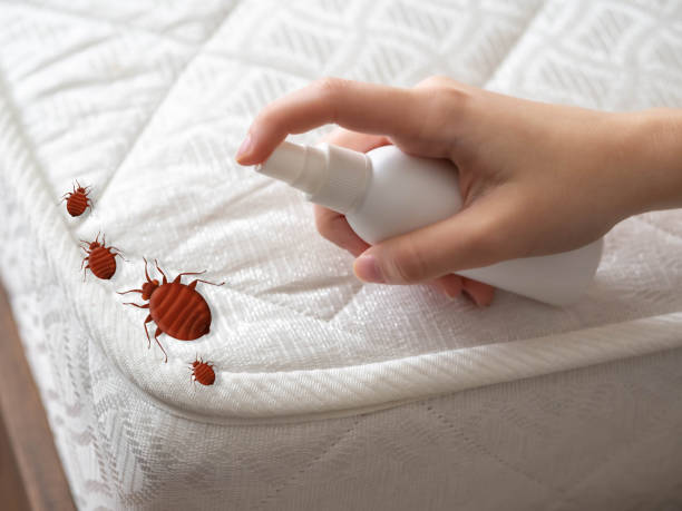  Beecher, MI Pest Control Pros