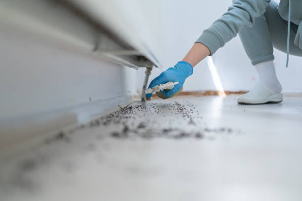 Best Bed Bug Extermination  in Beecher, MI